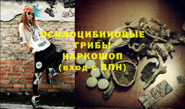 ECSTASY Нягань