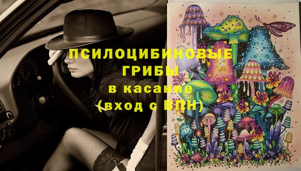МДМА Няндома