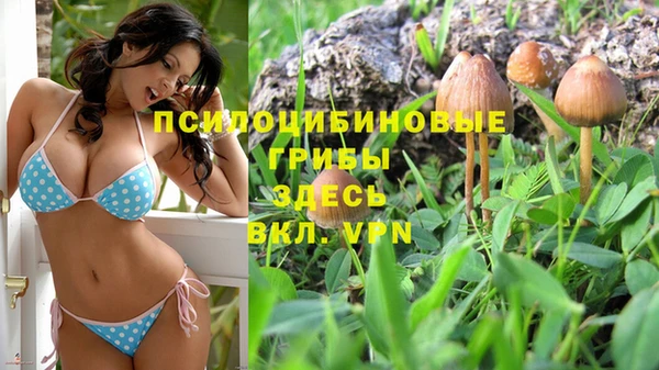 МДМА Няндома