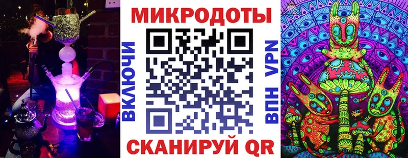 Купить где  Ковдор  Псилоцибиновые грибы Psilocybe 